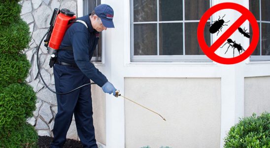 Toroslar Haşere İlaçlama böcek ilaçlama ve haşere kontrolü — ilaclama-tr.com